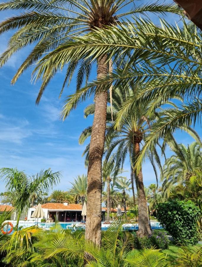 Sun Club P65 Premium Bungalow Maspalomas  Extérieur photo