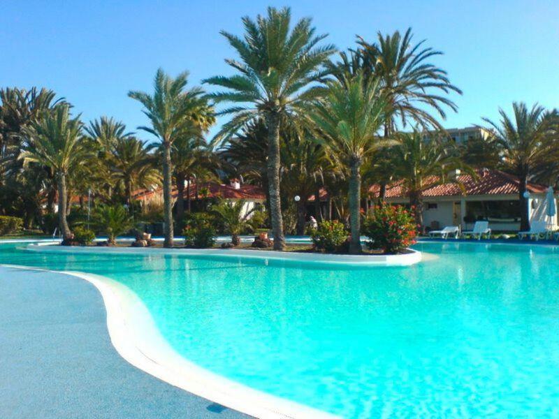 Sun Club P65 Premium Bungalow Maspalomas  Extérieur photo