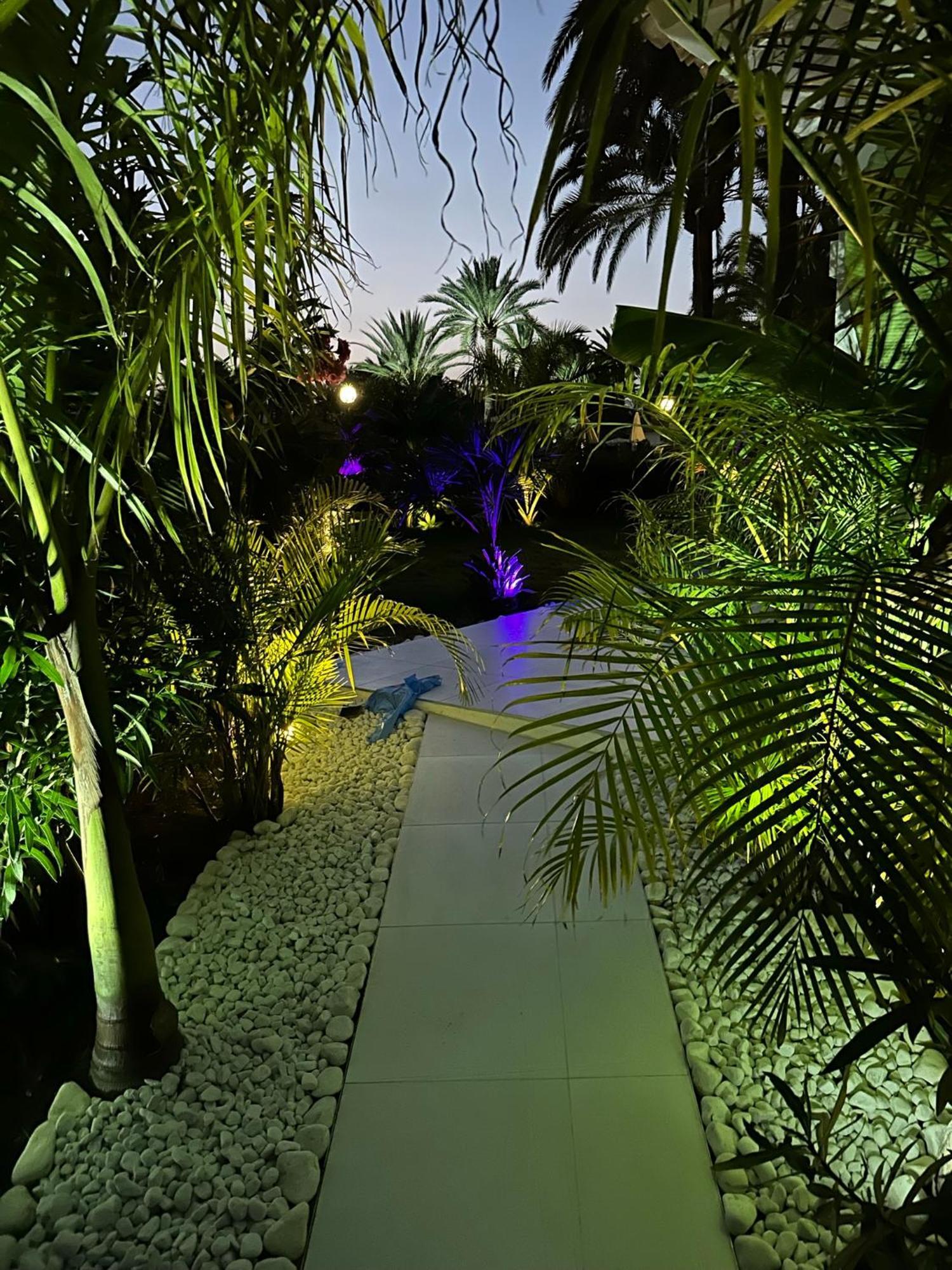 Sun Club P65 Premium Bungalow Maspalomas  Extérieur photo